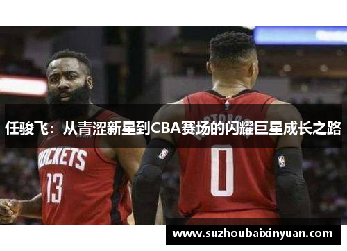 任骏飞：从青涩新星到CBA赛场的闪耀巨星成长之路