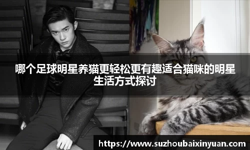 哪个足球明星养猫更轻松更有趣适合猫咪的明星生活方式探讨