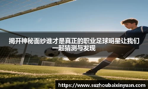 揭开神秘面纱谁才是真正的职业足球明星让我们一起猜测与发现
